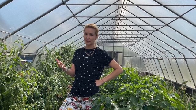 272/Переезд в Россию. Брать Ипотеку надо ! Рыжий гость у нас ! Плов на костре. Ялуторовск, Сибирь.