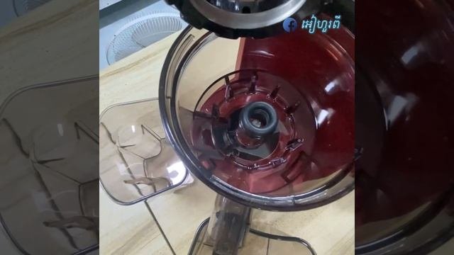 របបដដកមសនកបផលឈ Sokany JE 25 slow juicer  ទកផសងកកផសង
