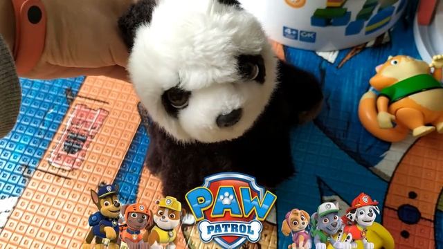 Колибри арт Аня с Катей играют со щенячим патрулем и котом из 44 кота, строят дом для кота, панда