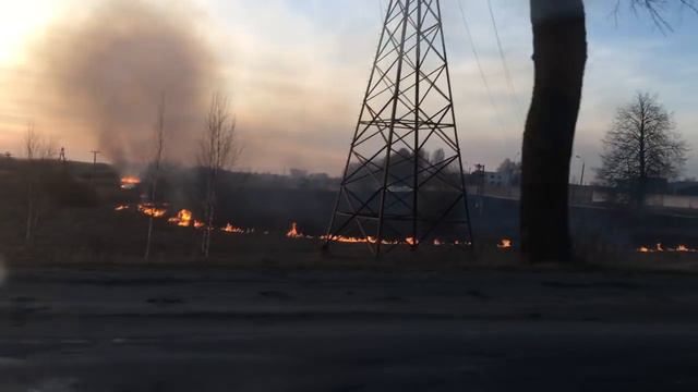 В Даугавпилсе горит старник