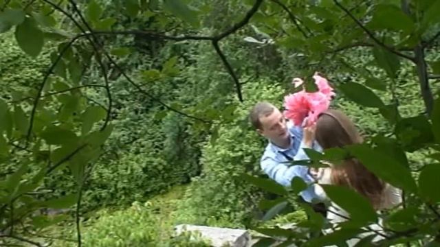 Предложение