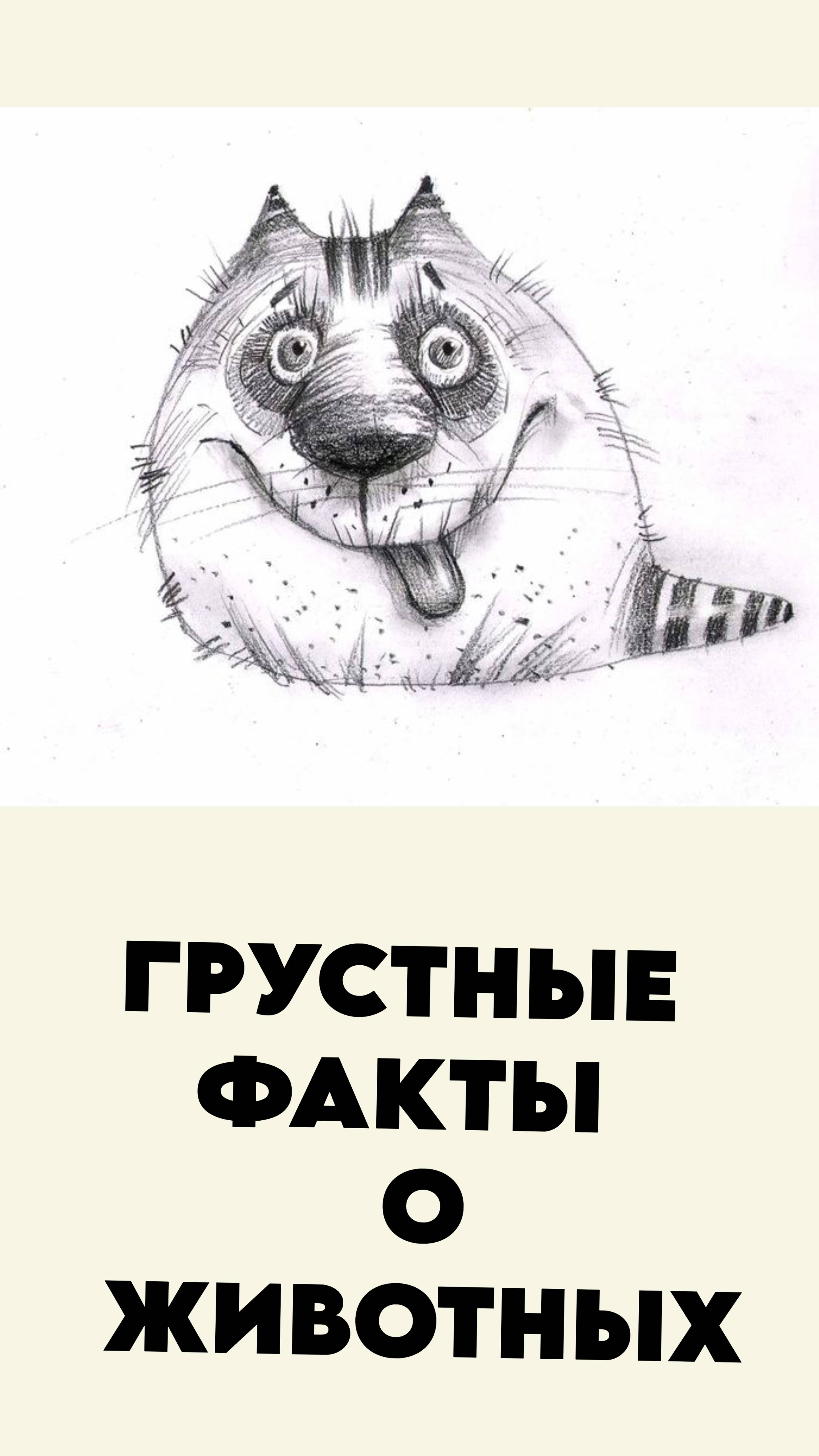 Грустные факты о животных 8