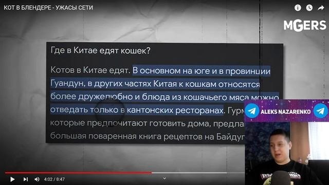 КОТ В БЛЕНДЕРЕ - УЖАСЫ СЕТИ - РЕАКЦИЯmarazm