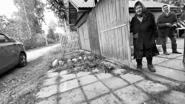 Сдал кровь, сдал металл и попил домашнего молока