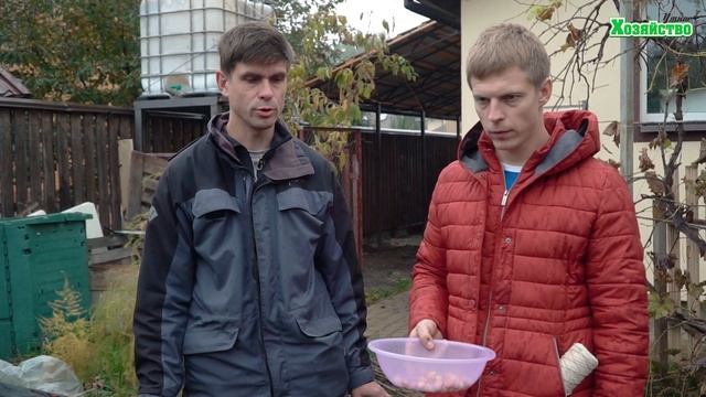4 глобальные ошибки при посадке лука!