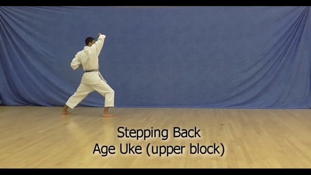 Yellow Belt 7th kyu Shotokan Karate Syllabus Basics