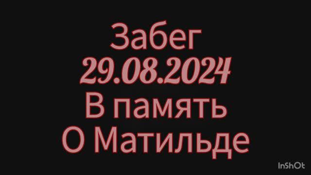 Забег 29.08.2024 В память о Матильде