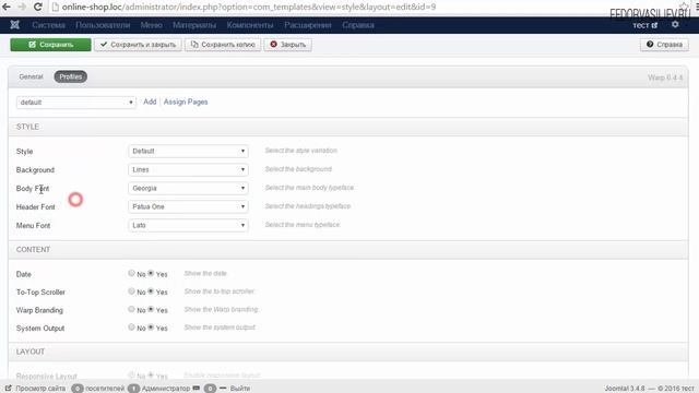 Интернет-магазин на Joomla - 46. Настройки шаблона
