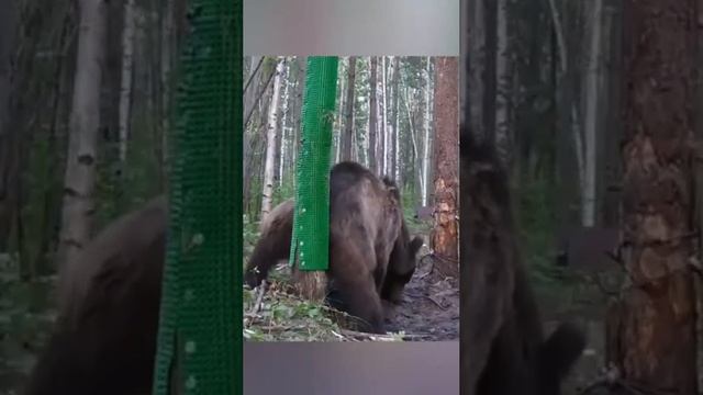VID_20231006_191618_334