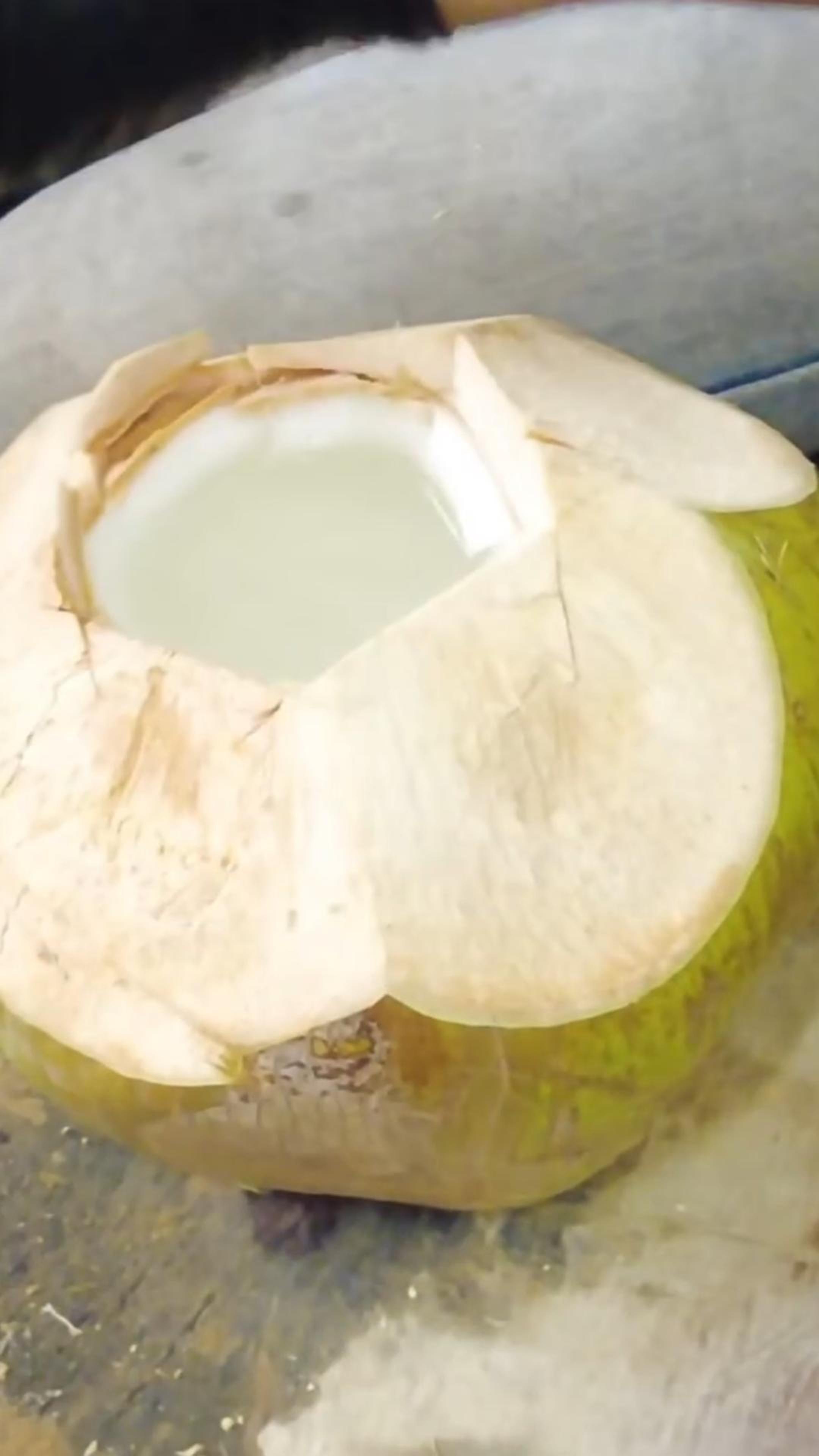 Кокосовая вода и как её получают| кокосовое производство #кокос #shorts