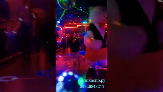 Танцующий мишка✨