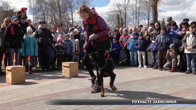 Службові собаки показали феєричне шоу для сумчан