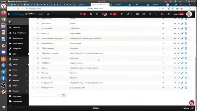 Прямая трансляция пользователя REBPM - программа CRM для агентства недвижимости Настройка сайта