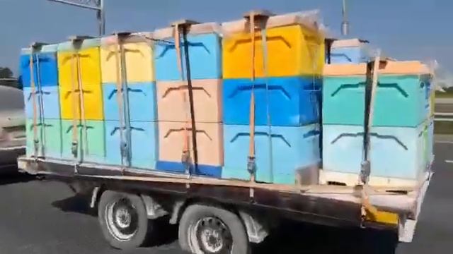 Дорога домой