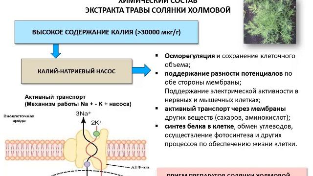 Постковидный хвост - Как устранить последствия от перенесённой инфекции.
