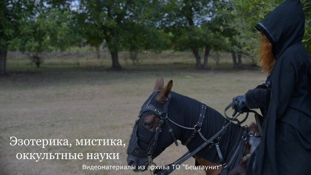 ОККЭ ТВ- тизер