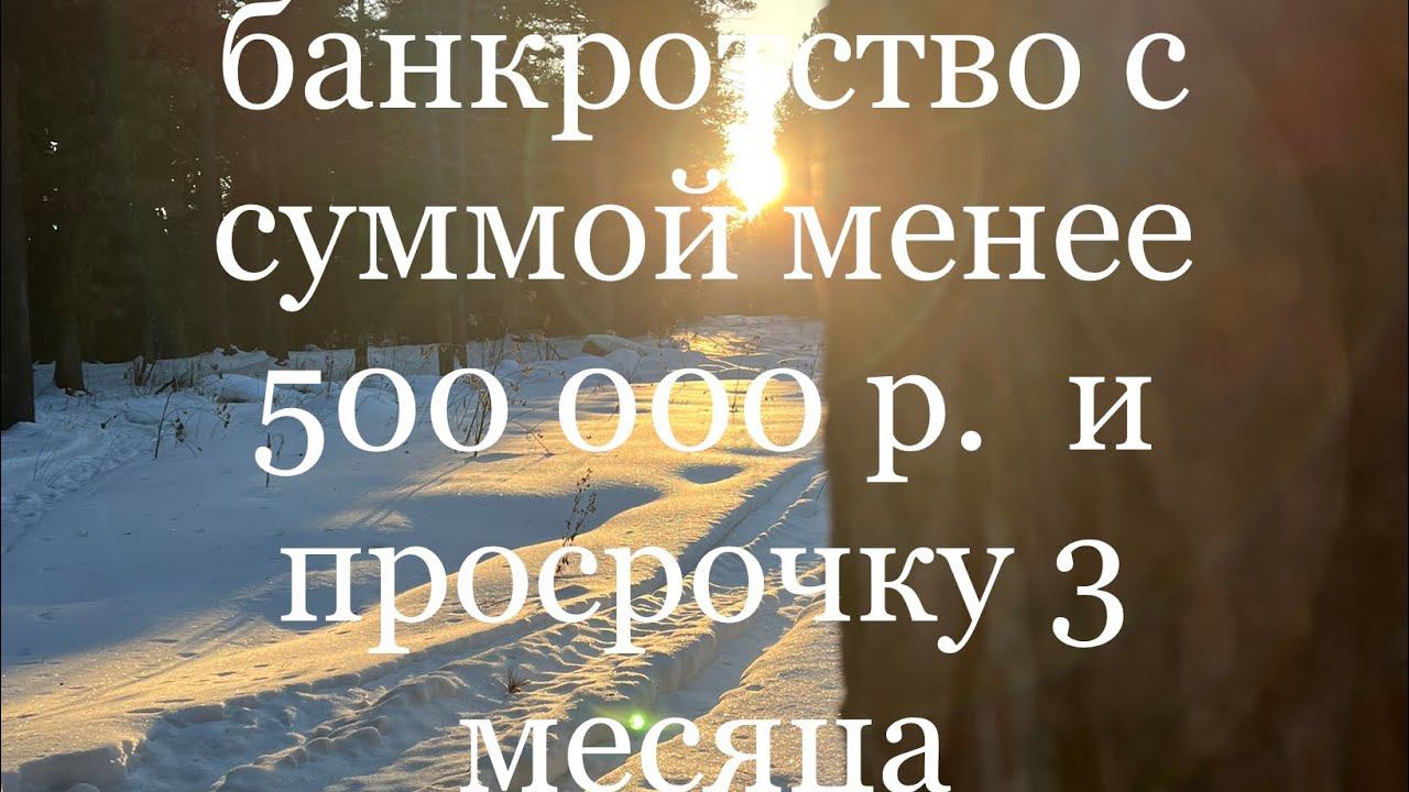Про банкротство с суммой менее 500 000 р. и просрочки 3 месяца