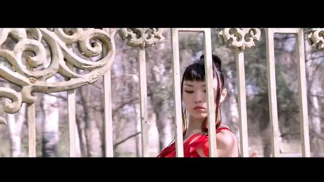 DUPSTEP on kyrgyz violin Niko