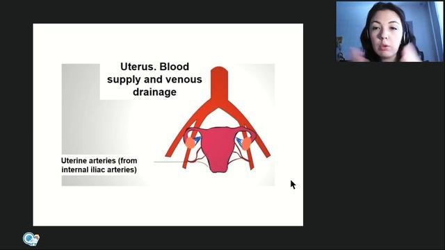 Topographic Anatomy lecture no.7 Topographic Anatomy and Operative Surgery of Pelvis