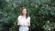 Луна в знаках зодиака: страхи и слабости