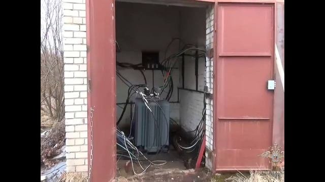 В Петербурге и области полиция накрыла подпольные фермы. Там разводили не  свинейа криптовалюту