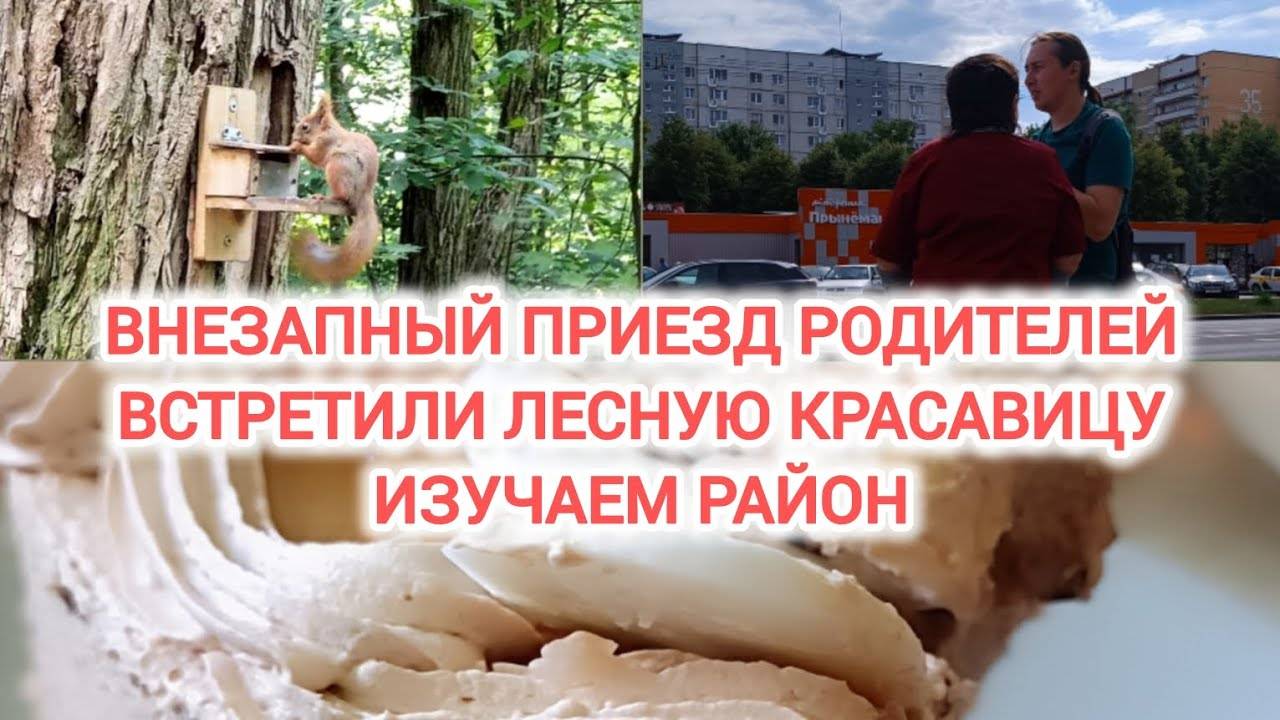 VLOG | ВНЕЗАПНЫЙ ПРИЕЗД РОДИТЕЛЕЙ | ВСТРЕТИЛИ ЛЕСНУЮ КРАСАВИЦУ | ИЗУЧАЕМ РАЙОН