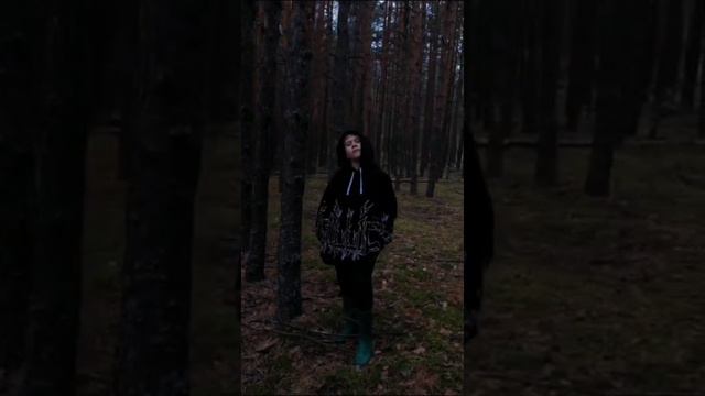 видео