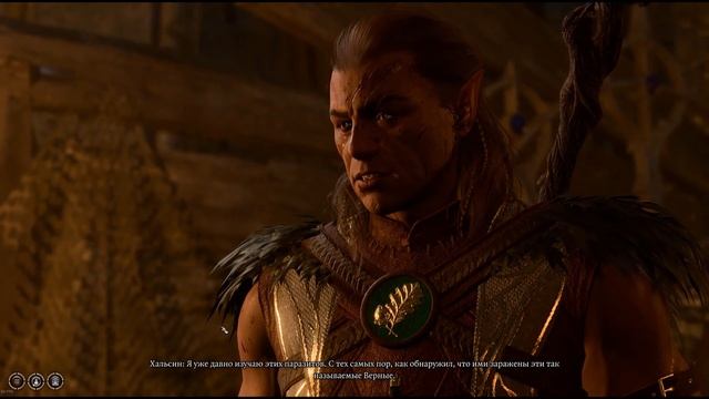 Baldurs Gate 3 Где находится Хальсин? Освобождаем Хальсин друид оборотня