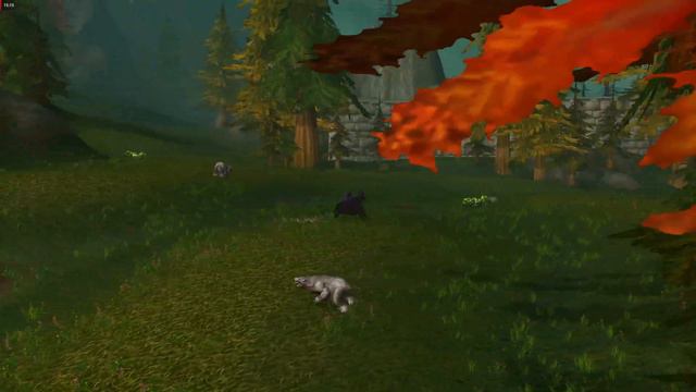 Shattrath City to Hinterland - Sprinkle's Secret Ingredient - 4K 60FPS