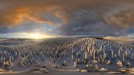 Four Seasons. Winter Forest. Relax Flight. 360 video in 12K