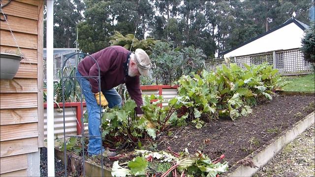 Asparagus & Rhubarb - Winter Care