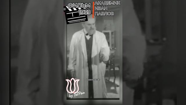 Академик Иван Павлов. Мозг