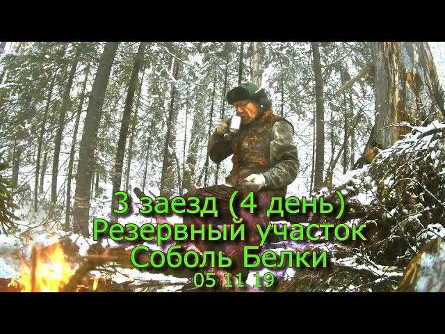 3 заезд (4 день) Резервный участок Соболь Белки 05 11 19