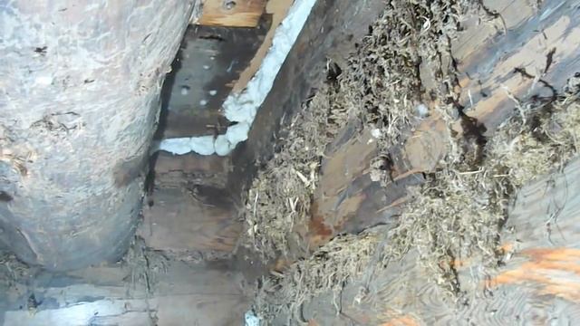 Как дешево утеплить пол в деревянном доме постройки времен развитого социализма