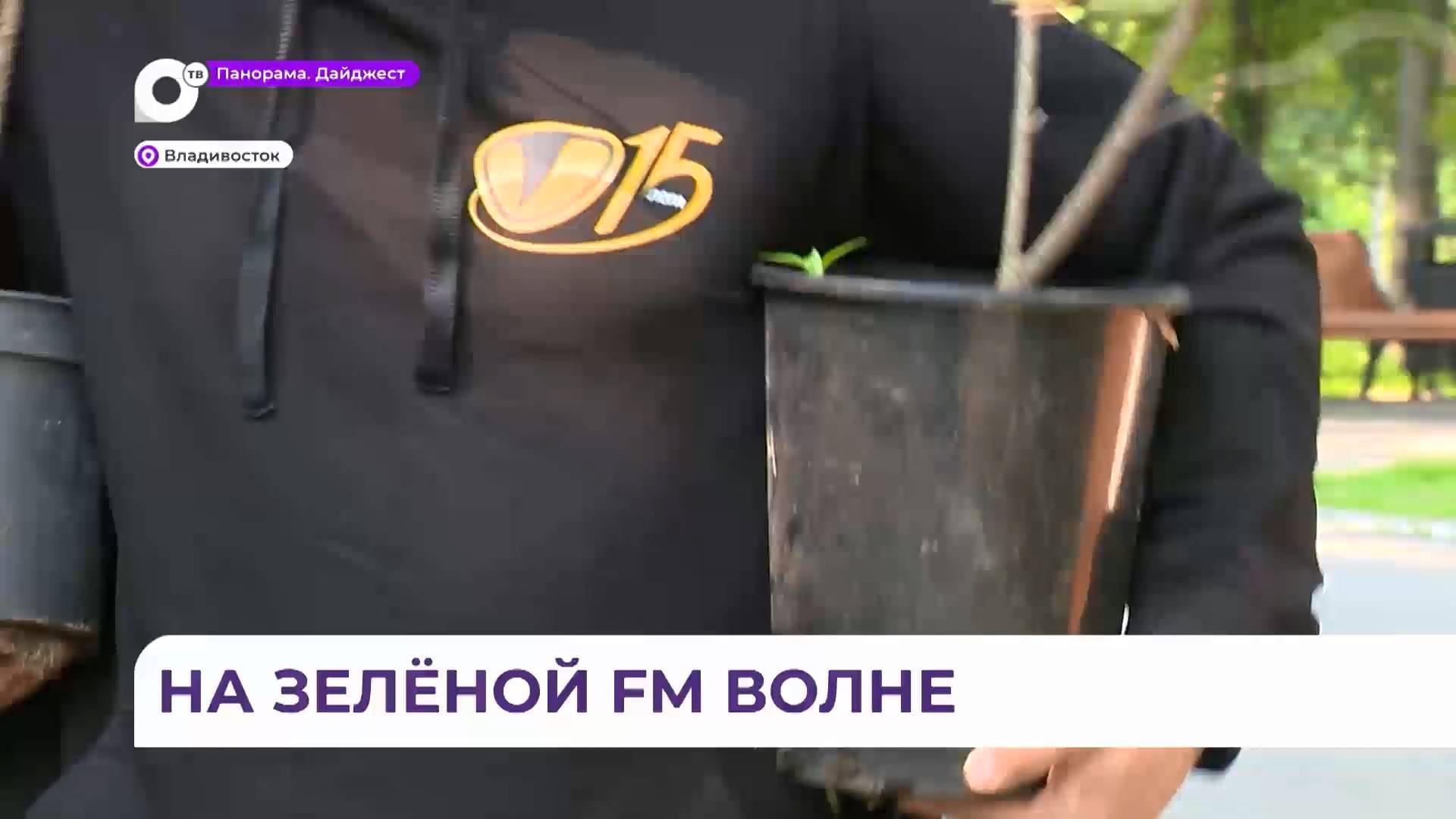 Форзиции высадили на «Аллее Радио» в честь дня рождения «Владивосток FM»