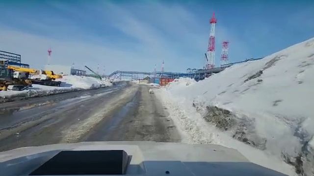 Гонки с белым медведем на краю земли 🐻❄️🏁🏎️