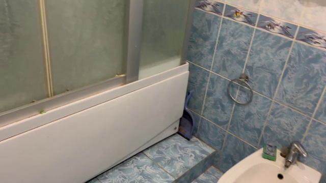 1ИП Смирнова
