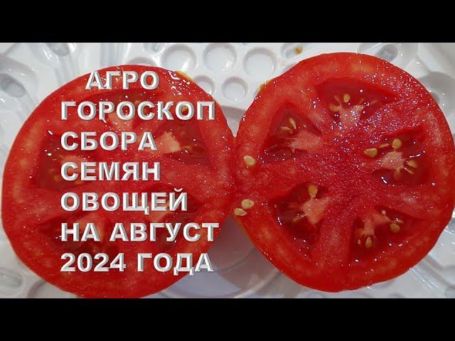 Агрогороскоп сбора семян овощей в августе 2024Agrohoroscope for harvesting vegetable seeds in August