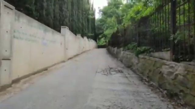 Доброе утро!  Добрый день!