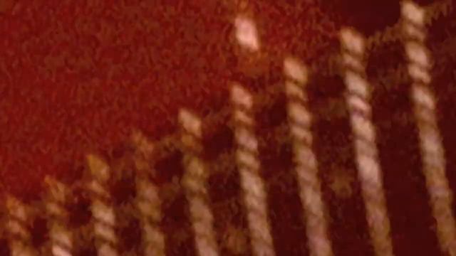 Electric Glove - "Welcome to Starfield V"