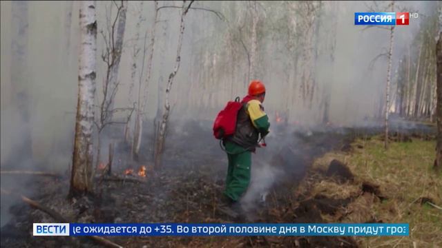 Россия 1, 3 июля 2024
Жара не позволяет регионам справляться с лесными пожарами