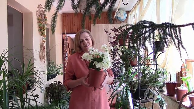 Благодарю! На канале "Комнатные цветы" 10000 подписчиков любителей цветов!