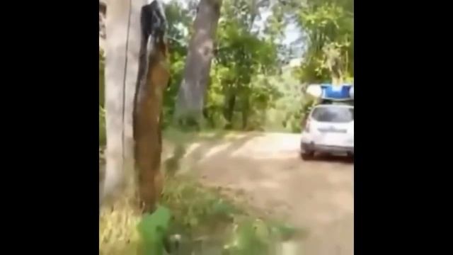 рыбалка бывает ржачной