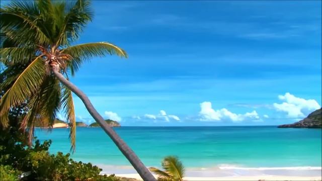Ho'oponoponos Songs