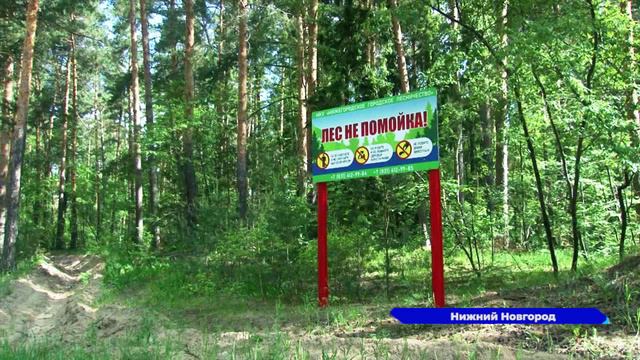 Леса Нижнего Новгорода патрулируют лесничества города