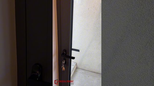 Входная алюминиевая дверь со стеклопакетом и черной дистанцией для гармонии цвета. Окналюкс
