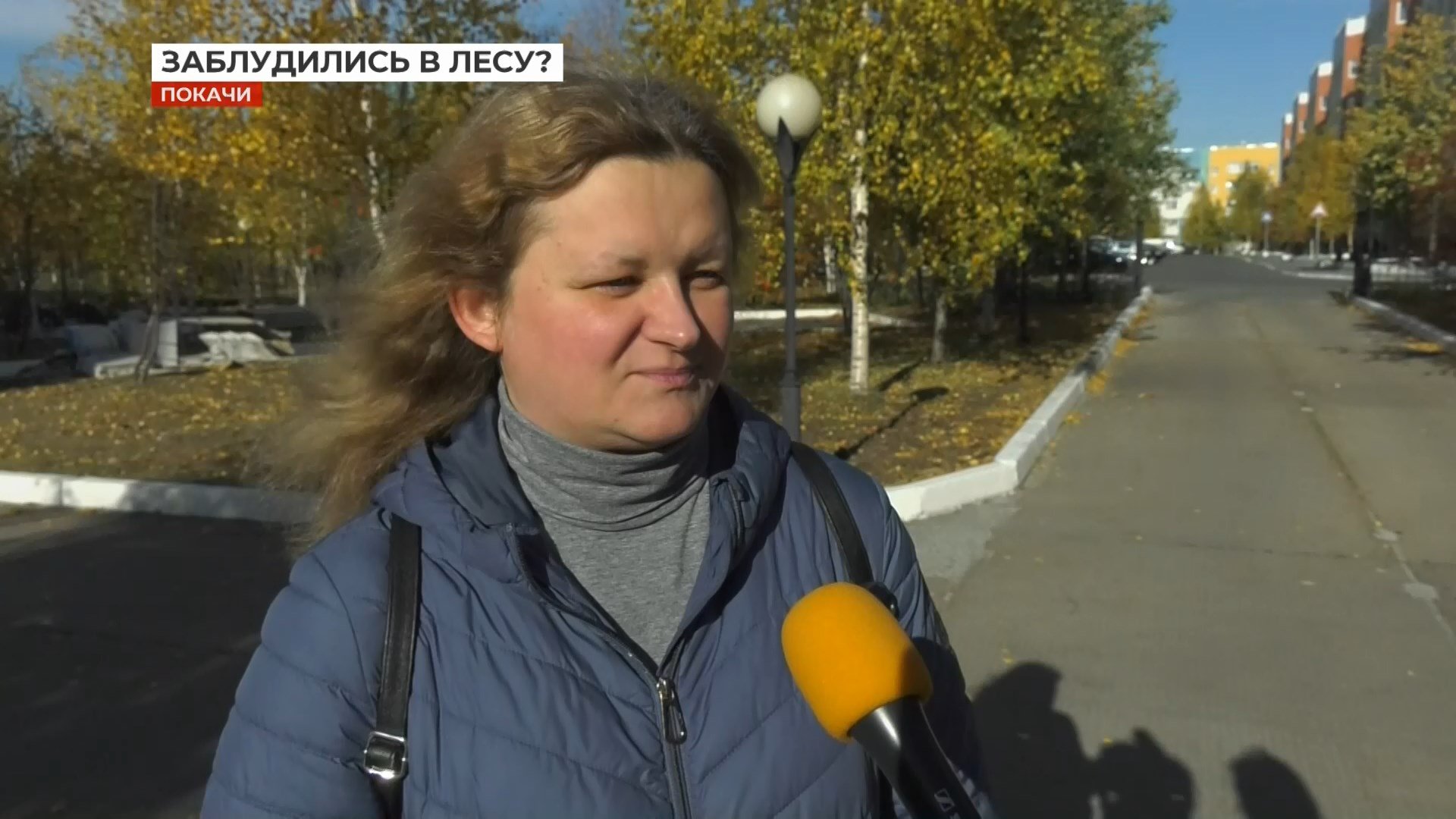 Как не заблудиться в лесу?