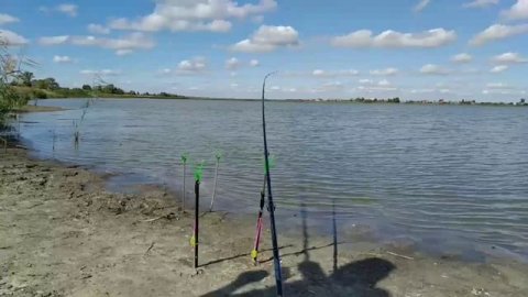 Рыбалка на фидер, ловля карася озеро малое кривское