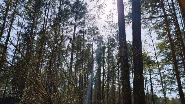 Дача в Эстонии.Первое утро на даче.Дачные влоги с побережья Чудского озера.Эстония.Семейный влог