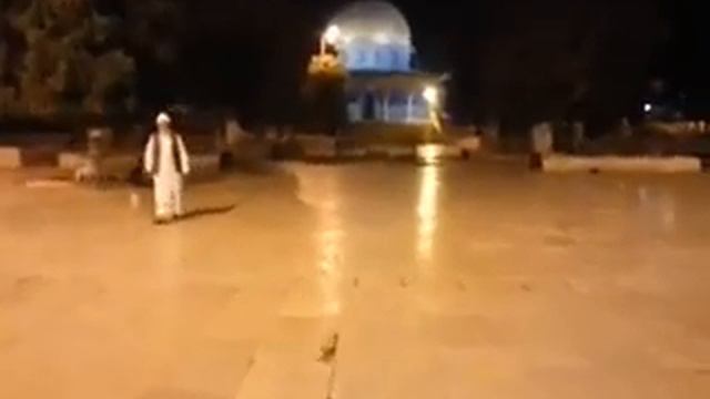 فيديو يقطع القلب، المسجد الأقصى مغلق وفارغ من أعداء الدين بني صهيون.